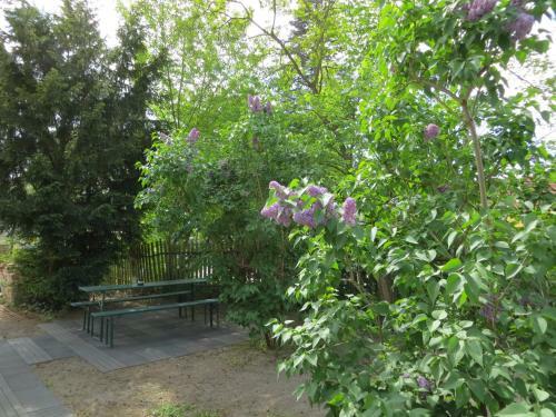 Apartamento Fischerhaus Am See