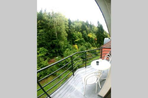 Apartamento The Mountain Loft Klinovec - With Infrasauna