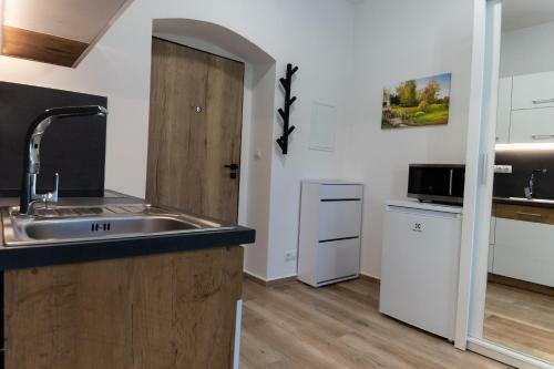 Apartm�n Seifertova