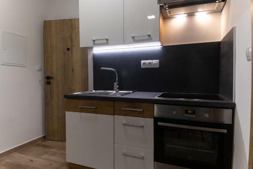 Apartm�n Seifertova
