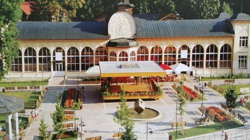 Apartm�n Jansk� L�zn?