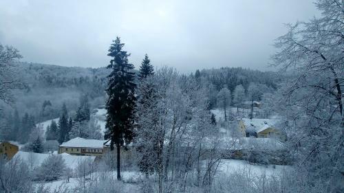 Apartm�n Jansk� L�zn?