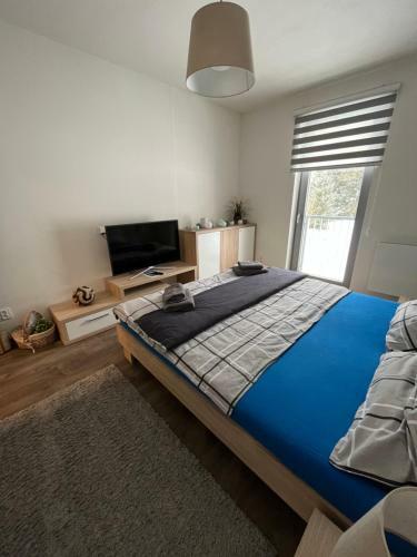 Apartm�n Jest?�b 14