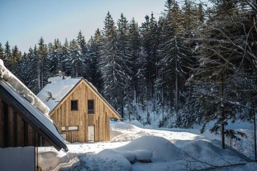 Apartamento Jank?v Zlat� Hamr