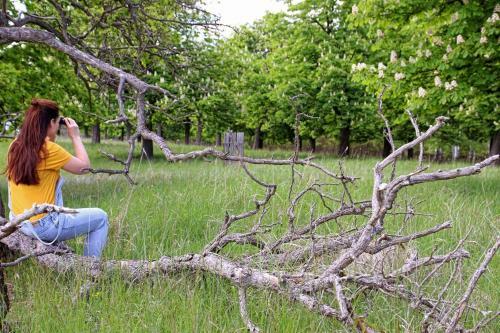 U Hrab?te Kinsk�ho S N�dechem Safari