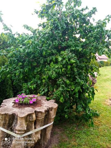 Villa Cel� Rodinn� D?m Na Venkov?