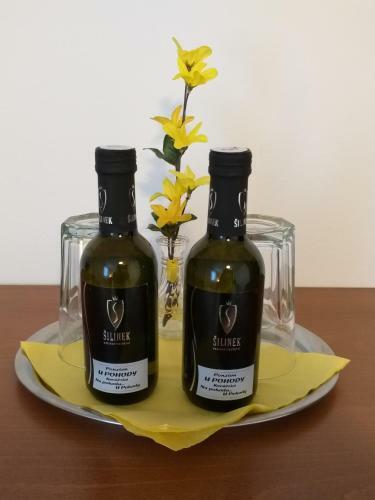 Hostal U Pohody