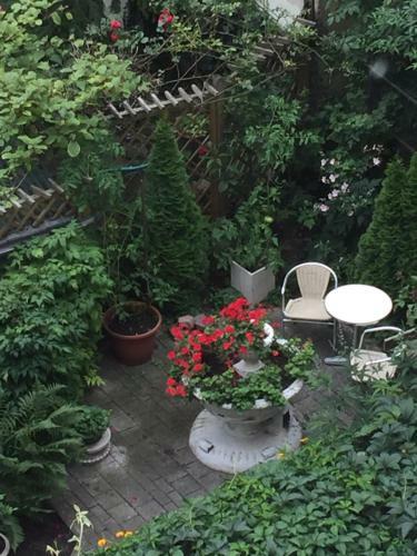 2 Zimmer Apartment Charlottchen