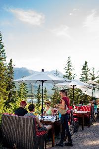 Hotel Juniper Inn - Standard