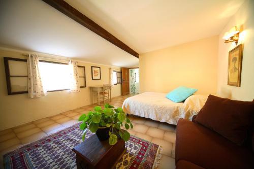 Bed & Breakfast Belle De Nuit