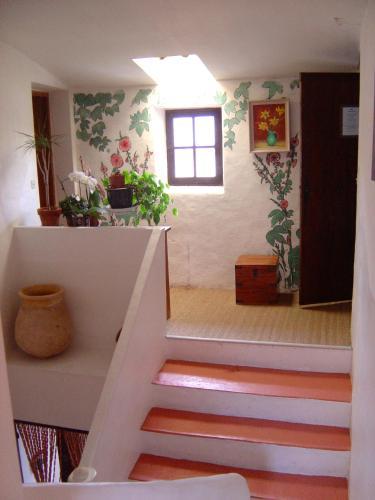 Bed & Breakfast Belle De Nuit