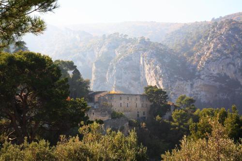 Bed & Breakfast Belle De Nuit