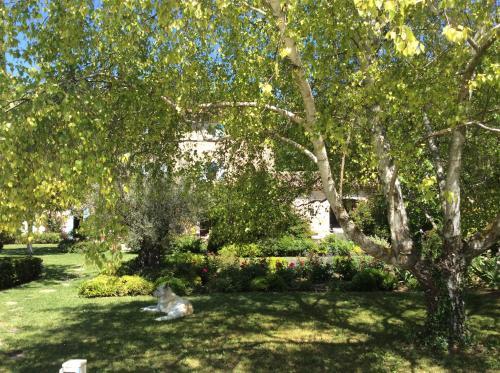 B&B Les Bouisserettes
