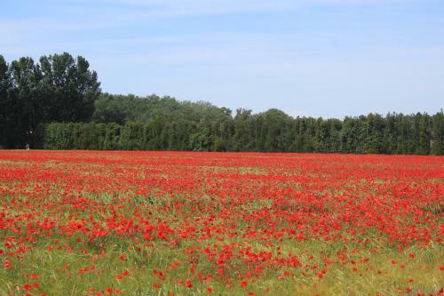 Bed & Breakfast Le Mas Des L�nes