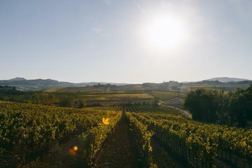 Bed & Breakfast L'orto Di Panza