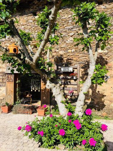 Bed & Breakfast La Placette Albigeoise