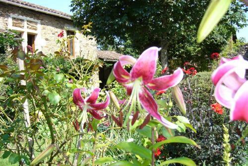 Bed & Breakfast Maison D'h�tes Hameau De Taur