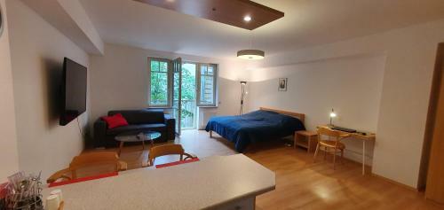 Apartm�n 46m2 S Balkonem V L�ze?sk�m Centru