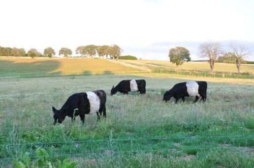 Bed & Breakfast K�rgaard