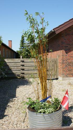 Apartamento ?vildmarks-wellness-aften? Med Eget K�kken Og Bad