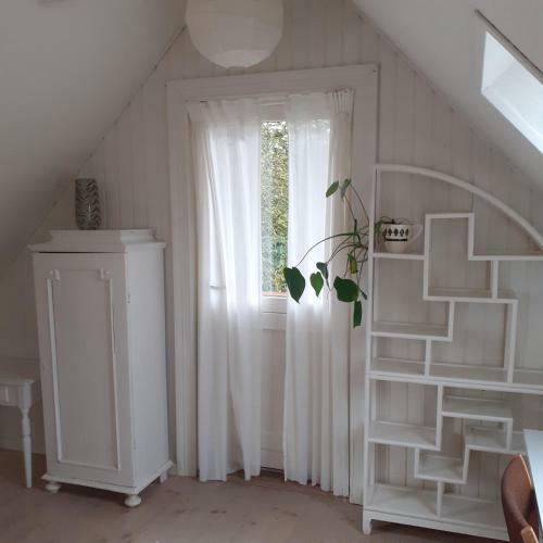 S�lyst