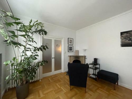 B&B The Old Chestnut Tree Silkeborg