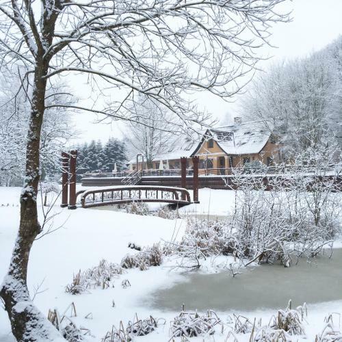Bed & Breakfast Borgdal