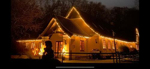 Bed & Breakfast Borgdal