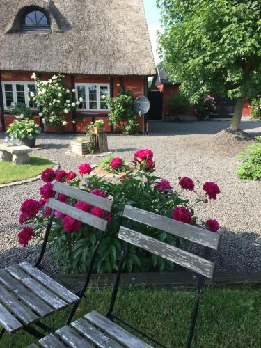 Lolland Bed & Breakfast