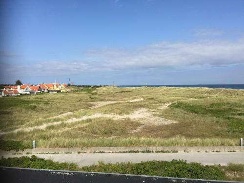 Skagen Anneks