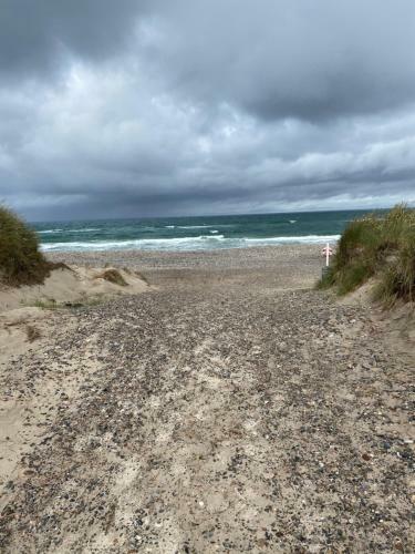 Skagen Anneks