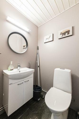 Sleepwell House Pyh�tunturi With Sauna Close To Lake