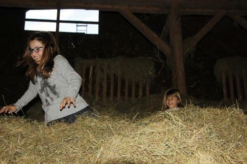 Agroturismo Ferienhof St�rk