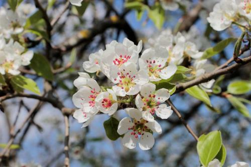 Agroturismo Ferienhof St�rk