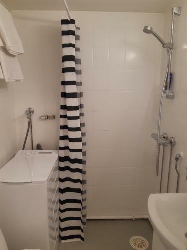 Apartamento Gallen-kallelankatu 5