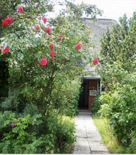 Apartamento Haus-hummergrund-app-muschel