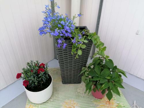 City Centre Apartment Siilinj�rvi