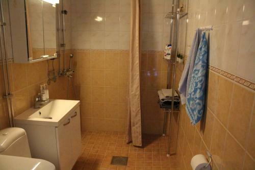 City Centre Apartment Siilinj�rvi