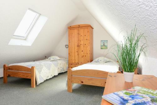 Apartamento Muschelsucher