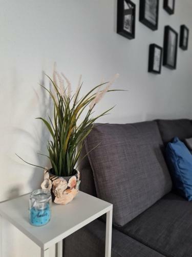 Apartamento Waldblick Ferienwohnungen