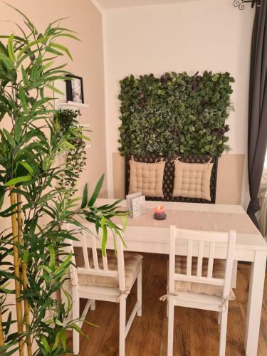 Apartamento Waldblick Ferienwohnungen