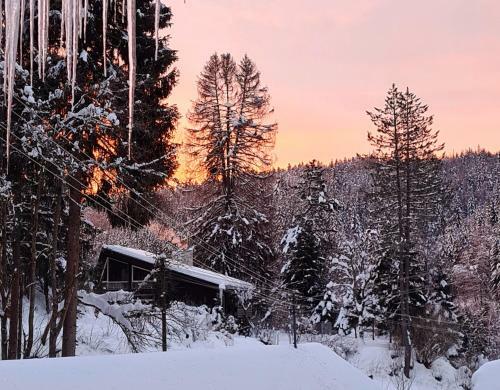 Apartamento Waldblick Ferienwohnungen