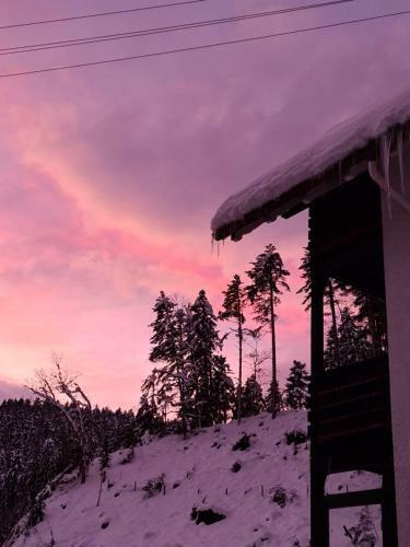 Apartamento Waldblick Ferienwohnungen