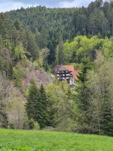 Apartamento Waldblick Ferienwohnungen
