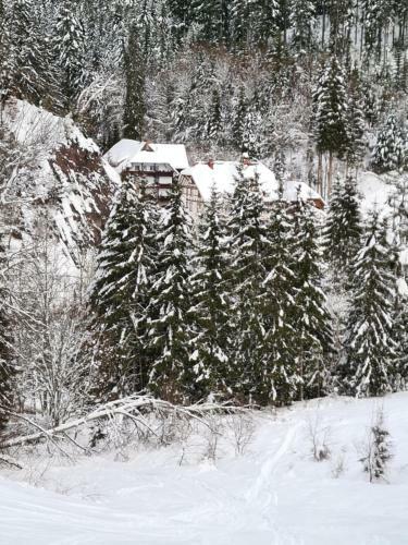Apartamento Waldblick Ferienwohnungen