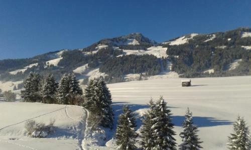 Apartamentos Haus Hochwies