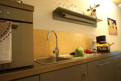 Apartamento Ferienwohnung Kuh