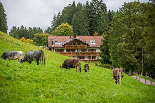 Apartment Chalet Rubihorn Mit Berg-blick