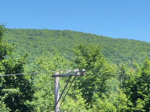 Hotel Antique Rose Inn Windham