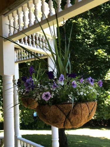Hotel Antique Rose Inn Windham